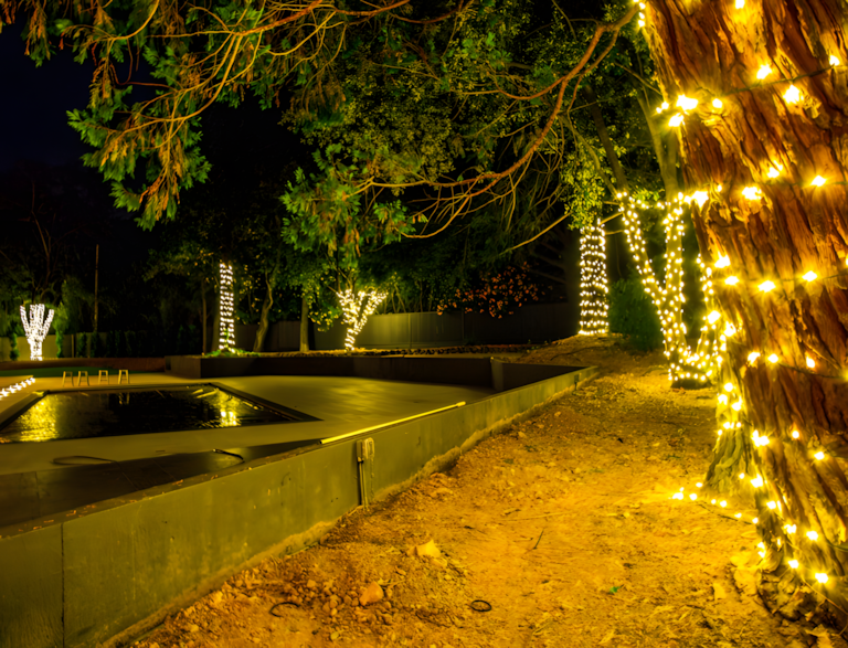 Landscape lighting highlighting trees
